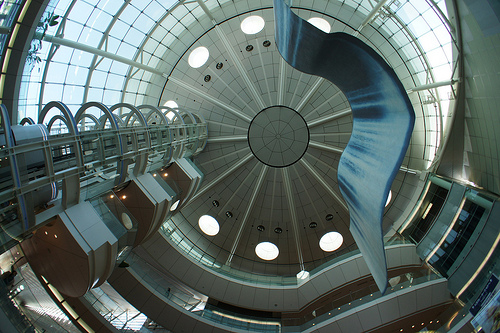 Haneda Airport (NEX5, 16mm+Fisheye conversion)