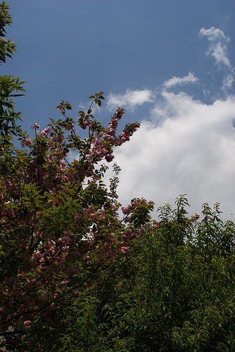 5月の空