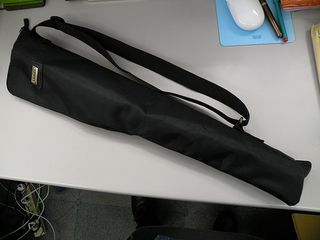 入った！