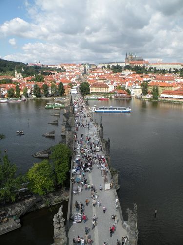 Vltava and Prague castle