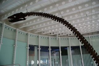 Natural_history_museum