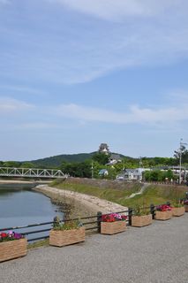 Okayama castle (1)