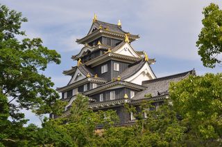 Okayama castle (2)