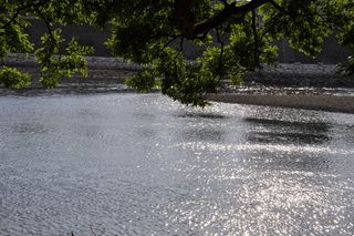 River side (1)