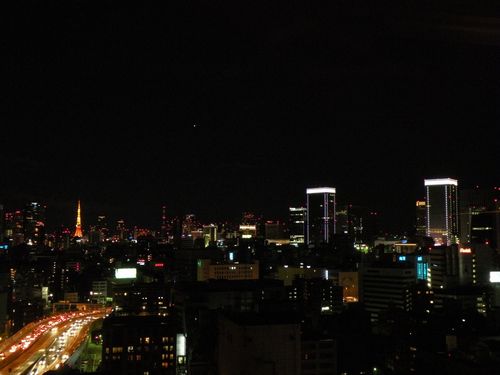 TokyoNightView