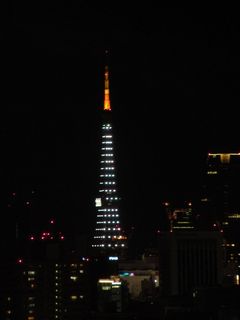 TokyoTower090102