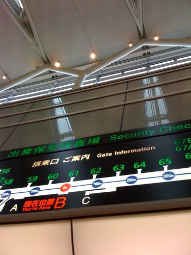 photo.jpg
