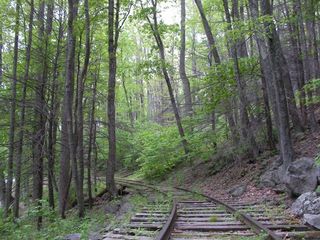 DeadTrack