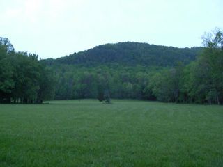 Spring_CadesCove1