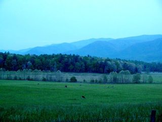 Spring_CadesCove2