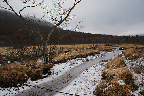 Numappara bog, Nasu 10