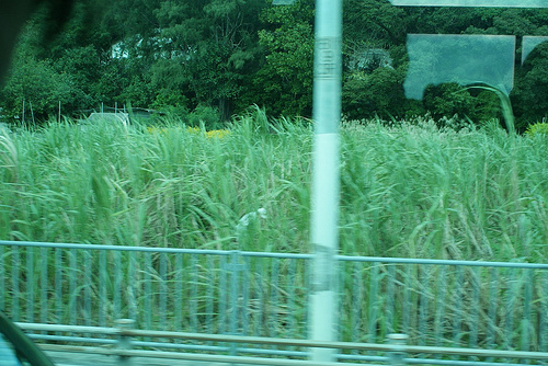 DSC04388