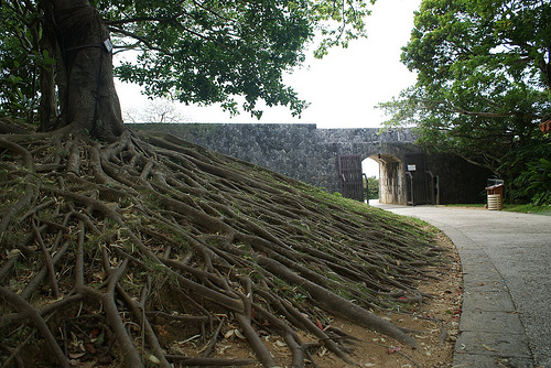 DSC04507