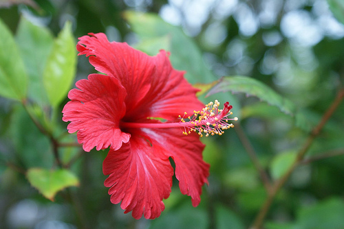 DSC04510
