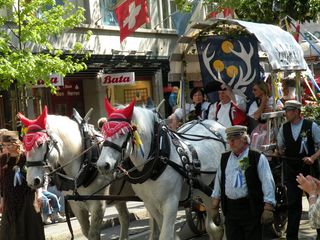 Sechselauten09