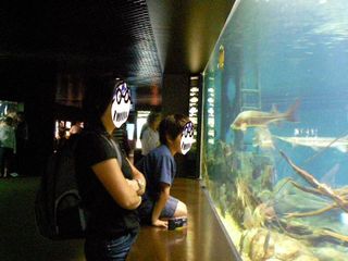 Big_aquarium3