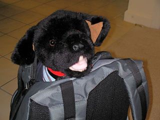 Sam