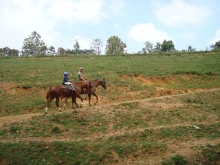 Trail_1