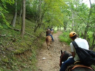 Trail_2