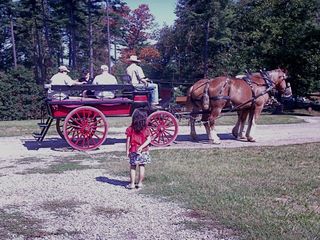 Carriage