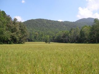 CadesCove_Summer2