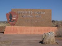 PetrifiedForest