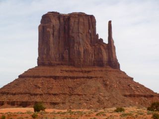 Mitten