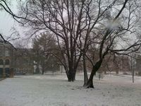 SnowyMaryville