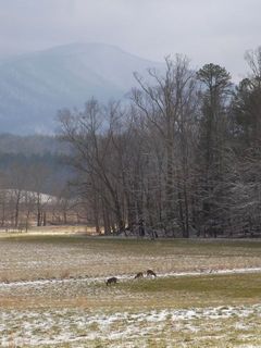 CadesCove_Winter4