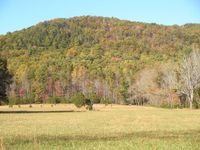 CadesCove2