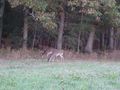 CadesCove4