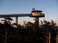 Clingmans