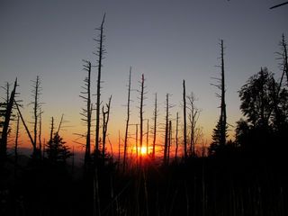 Smokey'sSunset